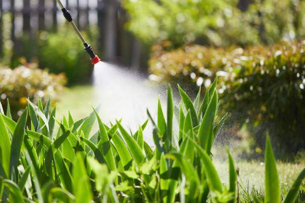 Tamper-Resistant Bait Stations for Rodents in Duncansville