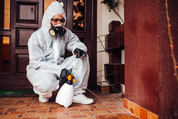 Attic and Crawl Space Rodent Treatment in Duncansville